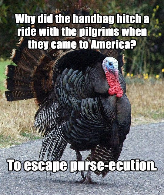Turkey Puns Thanksgiving
 Meet "Terrible Thanksgiving Pun Turkey"