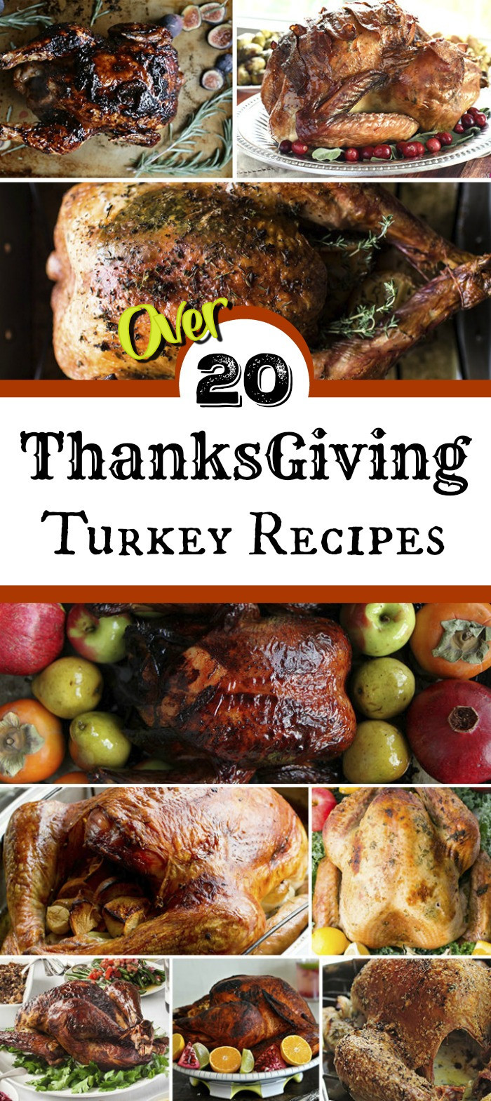 Turkey Recipe Thanksgiving
 Thanksgiving Turkey Recipes for the Best Thanksgiving