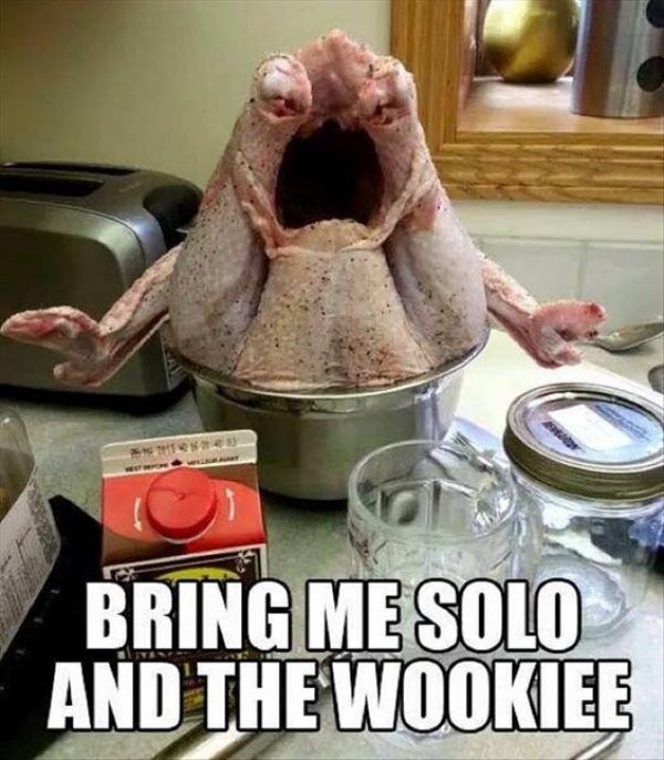 Turkey Thanksgiving Meme
 Thanksgiving Memes and fun pictures theCHIVE
