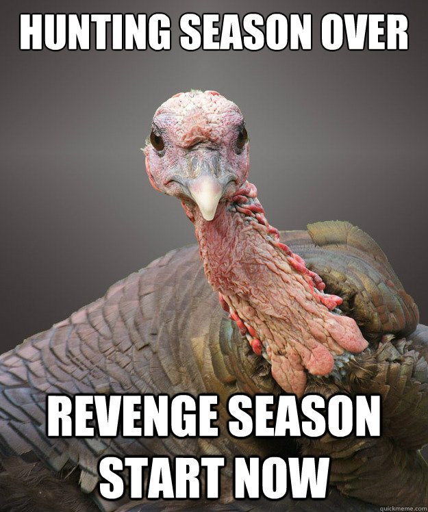 Turkey Thanksgiving Meme
 11 Turkey Memes That Will Get You Ready to Blast Those Birds
