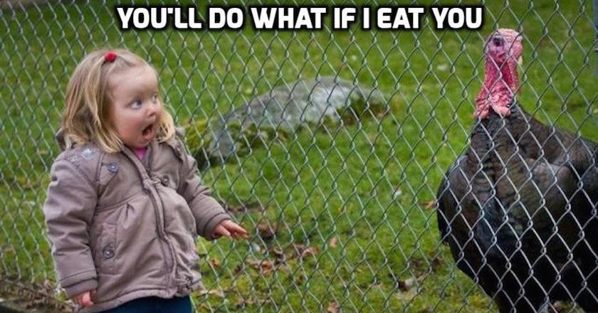 Turkey Thanksgiving Meme
 These 10 Turkey Memes are Perfect for Thanksgiving