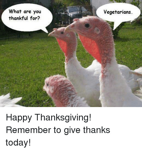 Vegan Thanksgiving Memes
 25 Best Happy Thanksgiving Memes