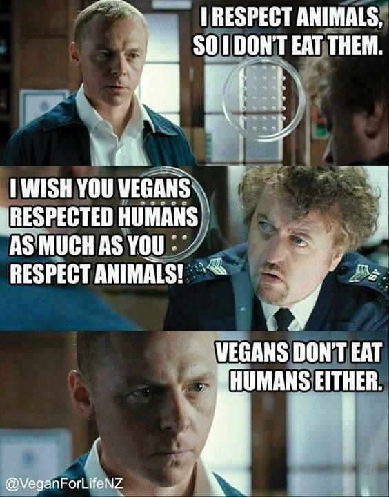 Vegan Thanksgiving Memes
 85 best images about vegan memes on Pinterest