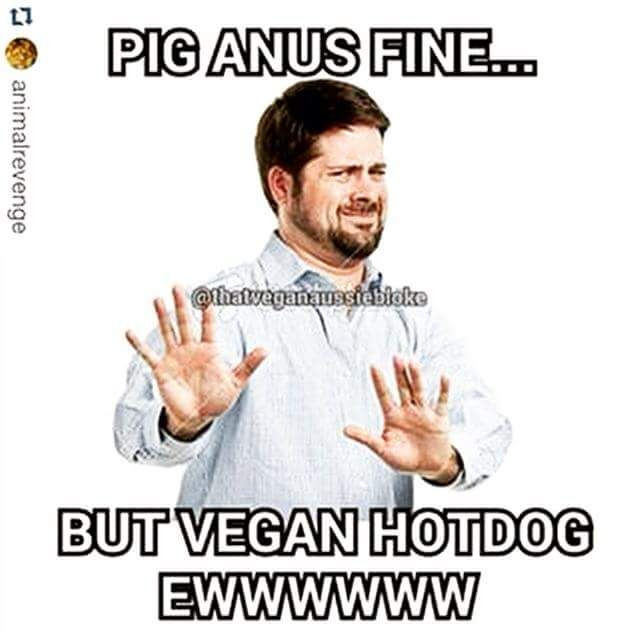 Vegan Thanksgiving Memes
 10 images about Vegan humor no really on Pinterest