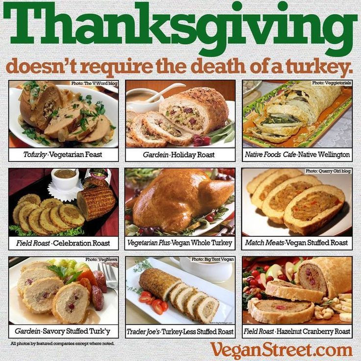 Vegan Thanksgiving Memes
 1000 images about informative on Pinterest