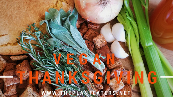 Vegan Thanksgiving Menu Ideas
 The Plant Eaters VEGAN THANKSGIVING MENU IDEAS