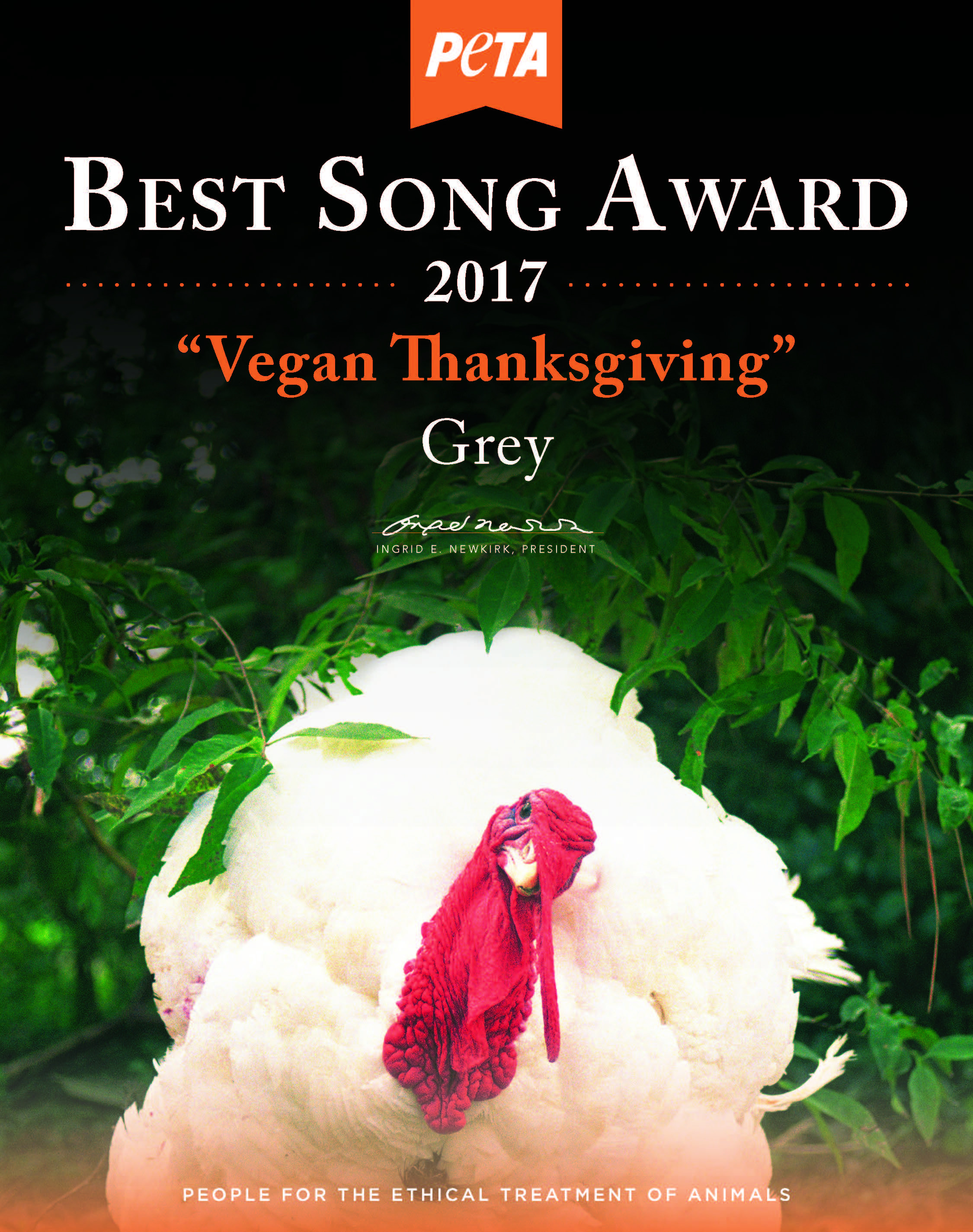 Vegan Thanksgiving Song
 Grey Celebrates Vegan Thanksgiving at Sublime With PETA